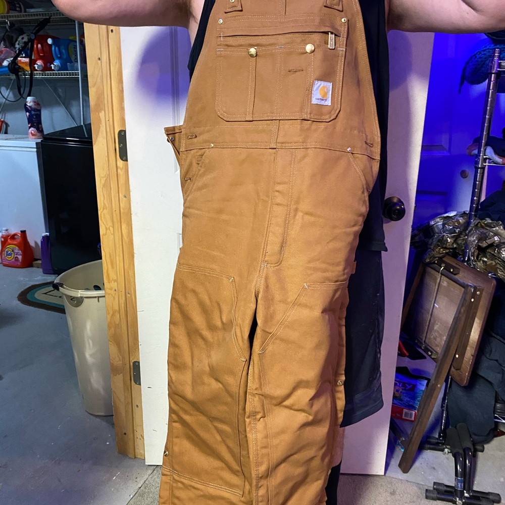 Carhartt bibs